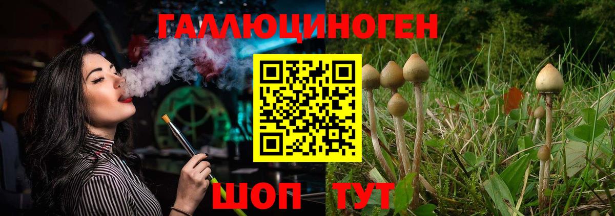 Псилоцибиновые грибы GOLDEN TEACHER  Псилоцибиновые грибы GOLDEN TEACHER  Вход с VPN  Алатырь 