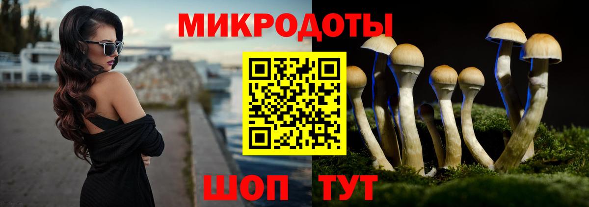 Псилоцибиновые грибы мухоморы Алатырь